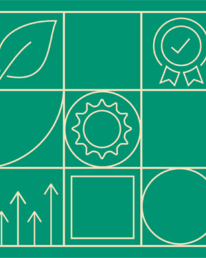 VeggieVit | Pour ceux qui mangent végé ou vegan et veulent combler les manques essentiels.