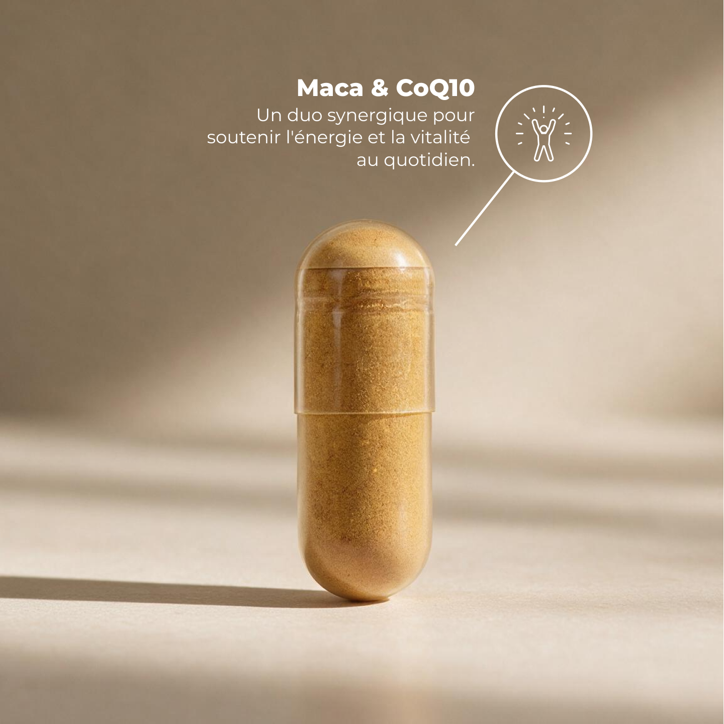 Myrootines Maca&coq10